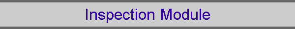 Inspection Module