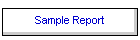 Sample Report