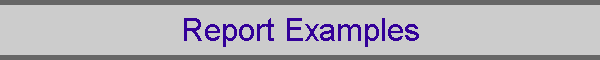 Report Examples