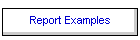 Report Examples